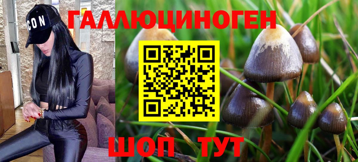 Псилоцибиновые грибы мухоморы Топки