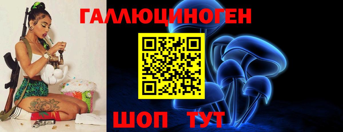 Топки  Псилоцибиновые грибы Cubensis  Вход с VPN 